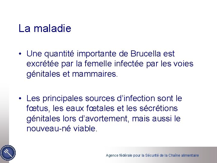 La maladie • Une quantité importante de Brucella est excrétée par la femelle infectée