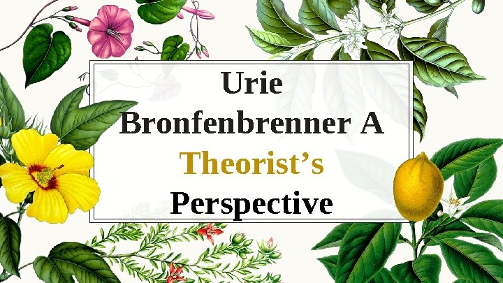 Urie Bronfenbrenner A Theorist’s Perspective 