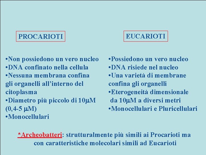 PROCARIOTI • Non possiedono un vero nucleo • DNA confinato nella cellula • Nessuna