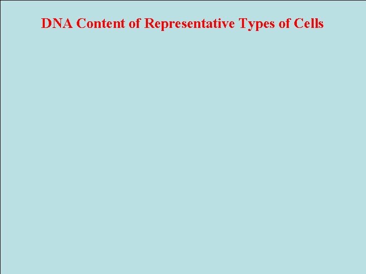 DNA Content of Representative Types of Cells 