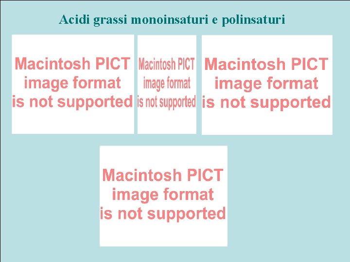 Acidi grassi monoinsaturi e polinsaturi 