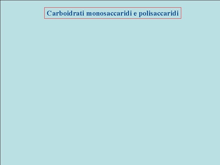 Carboidrati monosaccaridi e polisaccaridi 