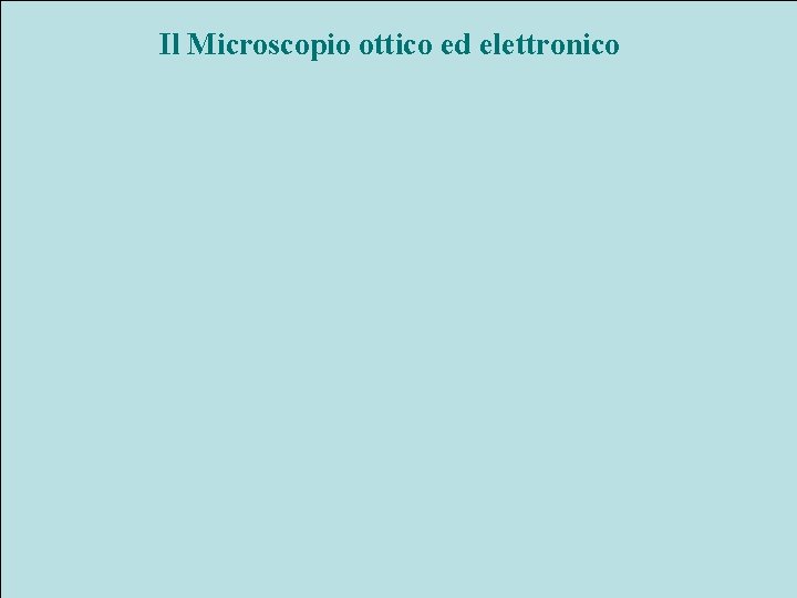 Il Microscopio ottico ed elettronico 