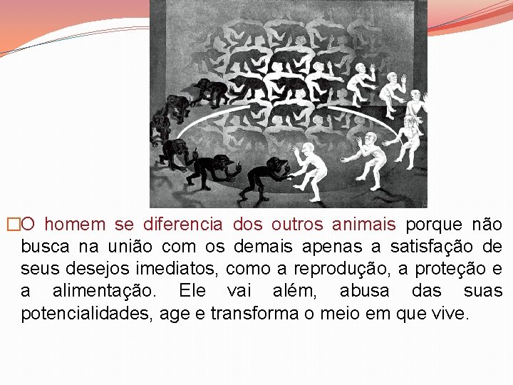 �O homem se diferencia dos outros animais porque não busca na união com os