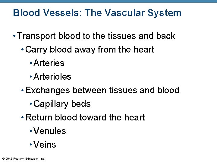 Blood Vessels: The Vascular System • Transport blood to the tissues and back •