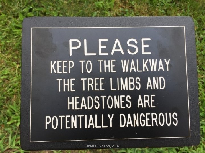 Historic Tree Care, 2016 