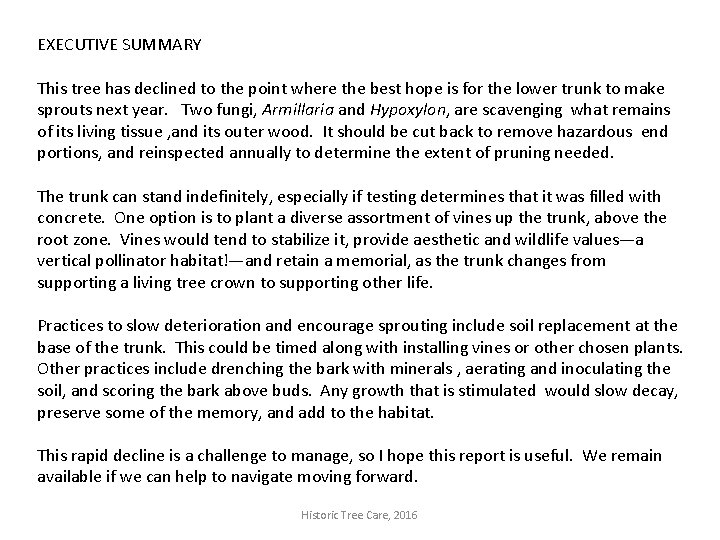 EXECUTIVE SUMMARY This tree has declined to the point where the best hope is