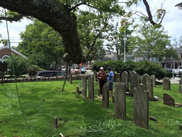 Historic Tree Care, 2016 