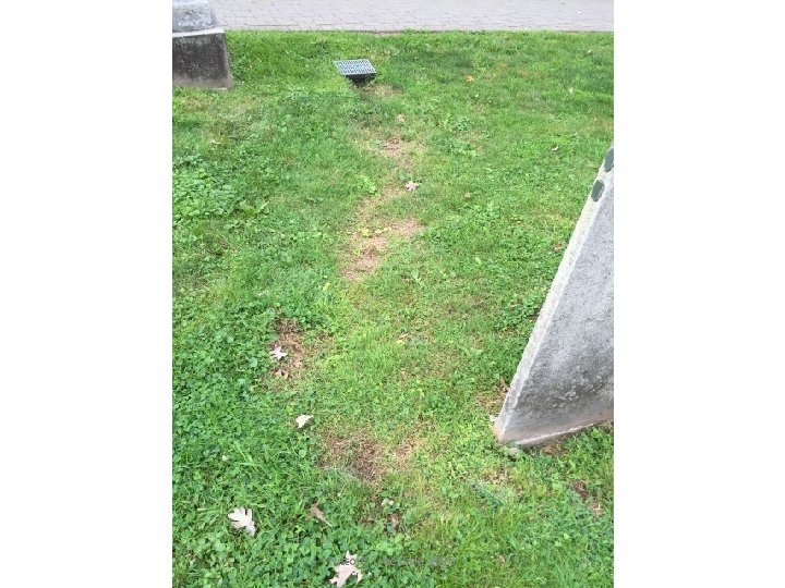 Historic Tree Care, 2016 