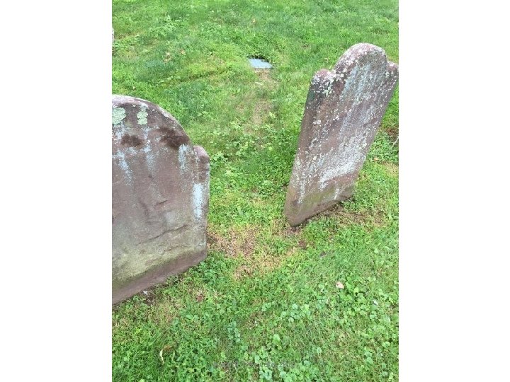 Historic Tree Care, 2016 