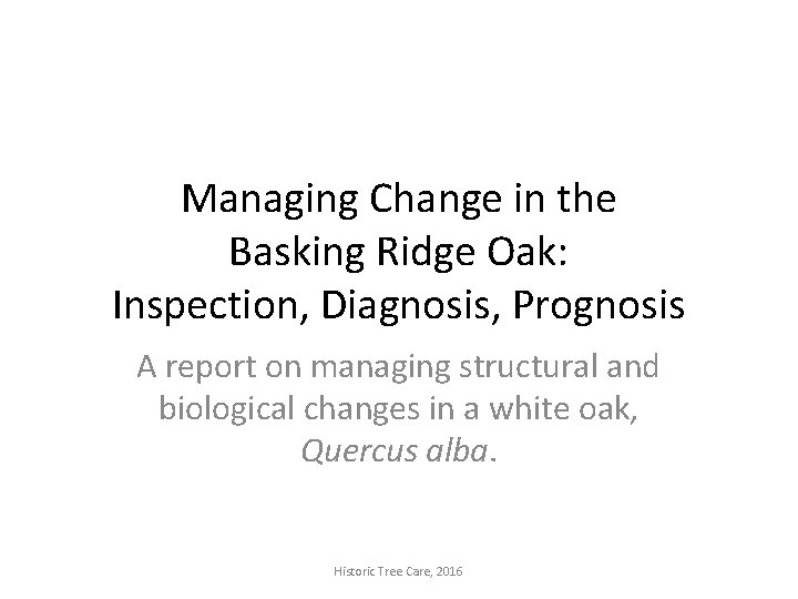 Managing Change in the Basking Ridge Oak: Inspection, Diagnosis, Prognosis A report on managing