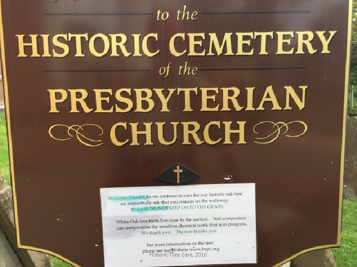 Historic Tree Care, 2016 