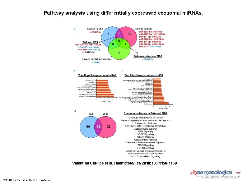 Pathway analysis using differentially expressed exosomal mi. RNAs. Valentina Giudice et al. Haematologica 2018;