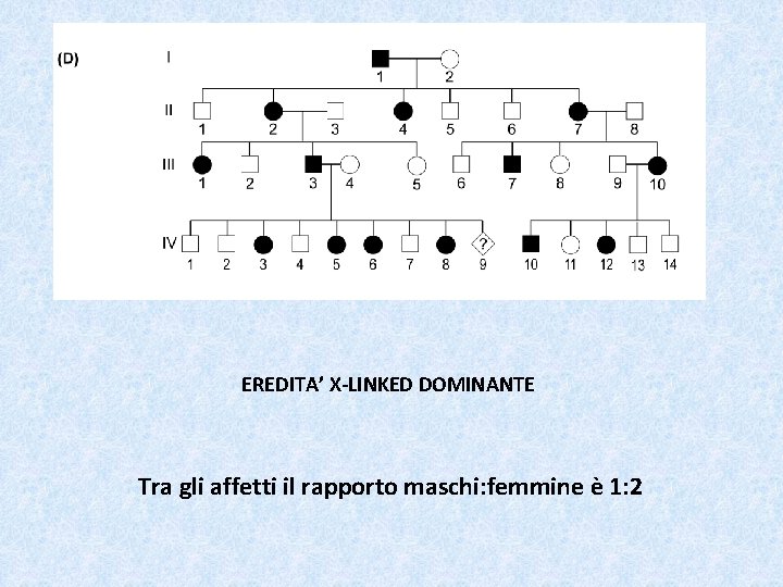 EREDITA’ X-LINKED DOMINANTE Tra gli affetti il rapporto maschi: femmine è 1: 2 