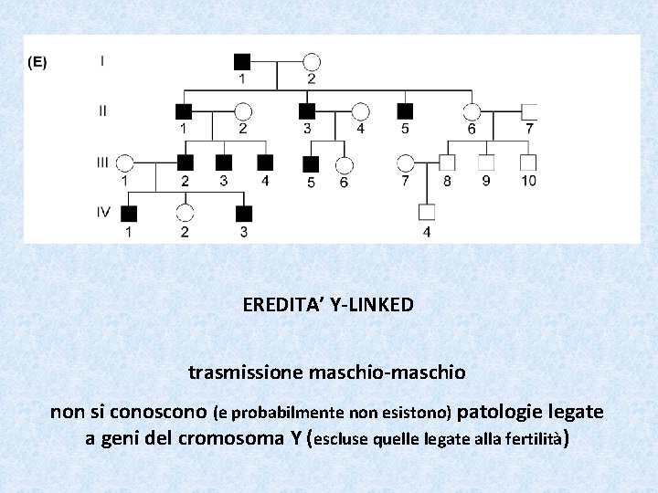 EREDITA’ Y-LINKED trasmissione maschio-maschio non si conoscono (e probabilmente non esistono) patologie legate a