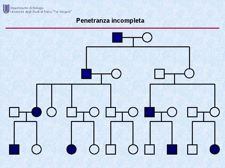 U Dipartimento di Biologia Università degli Studi di Roma “Tor Vergata” Penetranza incompleta 