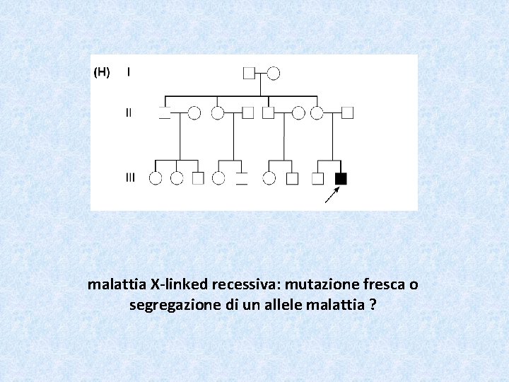 malattia X-linked recessiva: mutazione fresca o segregazione di un allele malattia ? 