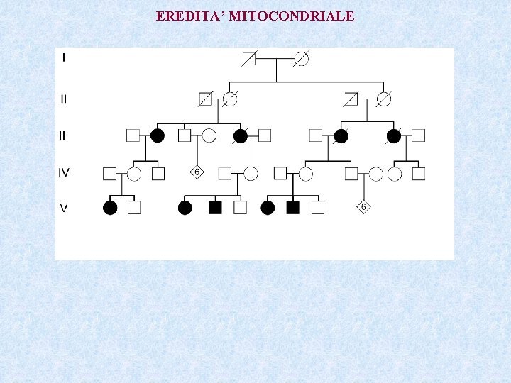 EREDITA’ MITOCONDRIALE 