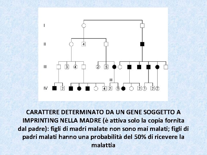 CARATTERE DETERMINATO DA UN GENE SOGGETTO A IMPRINTING NELLA MADRE (è attiva solo la