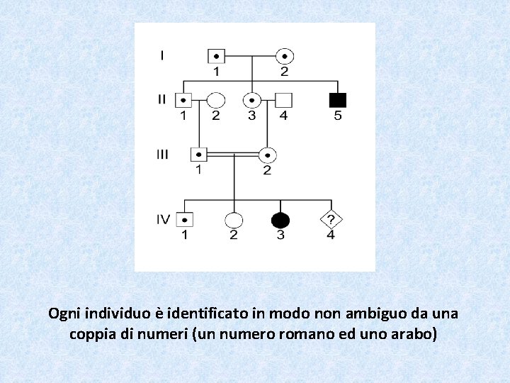 Ogni individuo è identificato in modo non ambiguo da una coppia di numeri (un