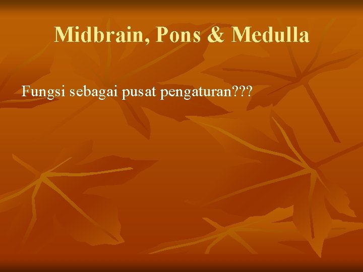 Midbrain, Pons & Medulla Fungsi sebagai pusat pengaturan? ? ? 