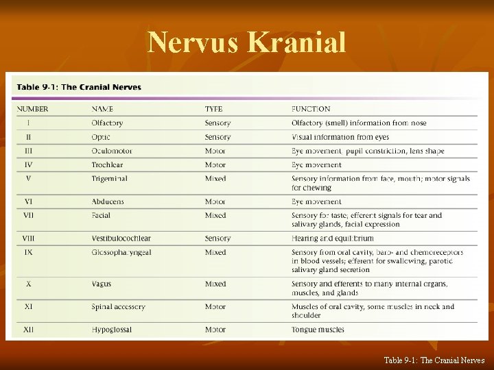 Nervus Kranial Table 9 -1: The Cranial Nerves 