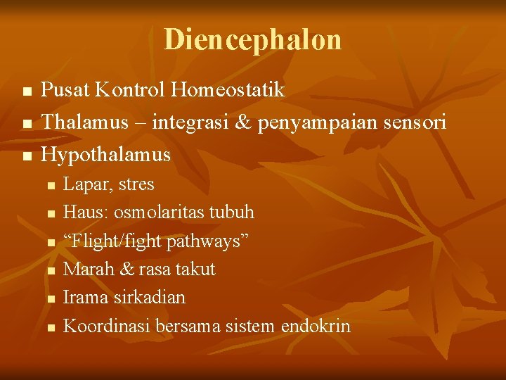 Diencephalon n Pusat Kontrol Homeostatik Thalamus – integrasi & penyampaian sensori Hypothalamus n n