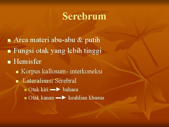 Serebrum n n n Area materi abu-abu & putih Fungsi otak yang lebih tinggi