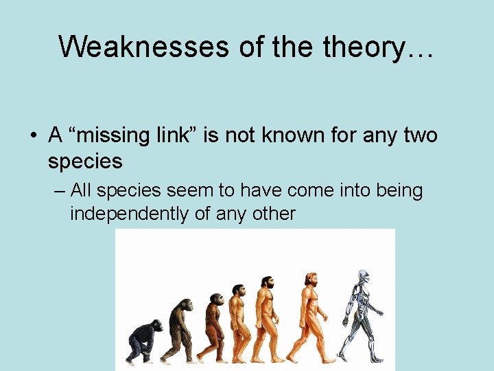 Weaknesses of theory… • A “missing link” is not known for any two species