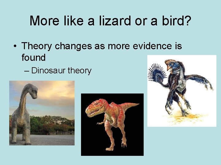 More like a lizard or a bird? • Theory changes as more evidence is