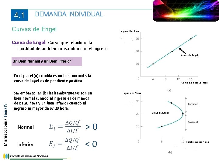 4. 1 DEMANDA INDIVIDUAL Curvas de Engel Ingreso Bs / hora Curva de Engel: