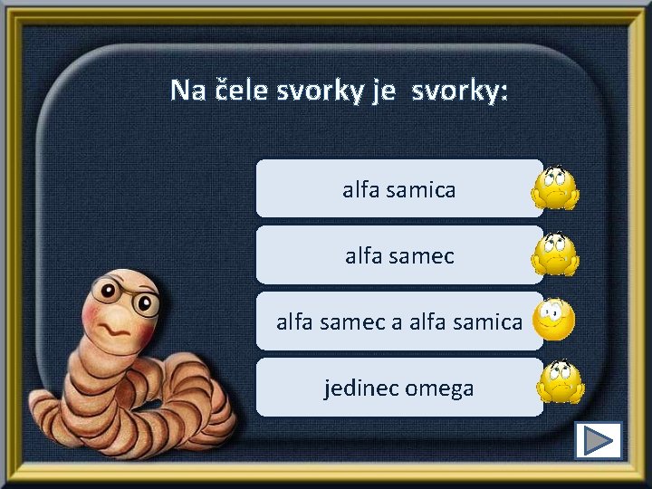 Na čele svorky je svorky: alfa samica alfa samec a alfa samica jedinec omega