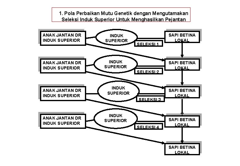 1. Pola Perbaikan Mutu Genetik dengan Mengutamakan Seleksi Induk Superior Untuk Menghasilkan Pejantan ANAK