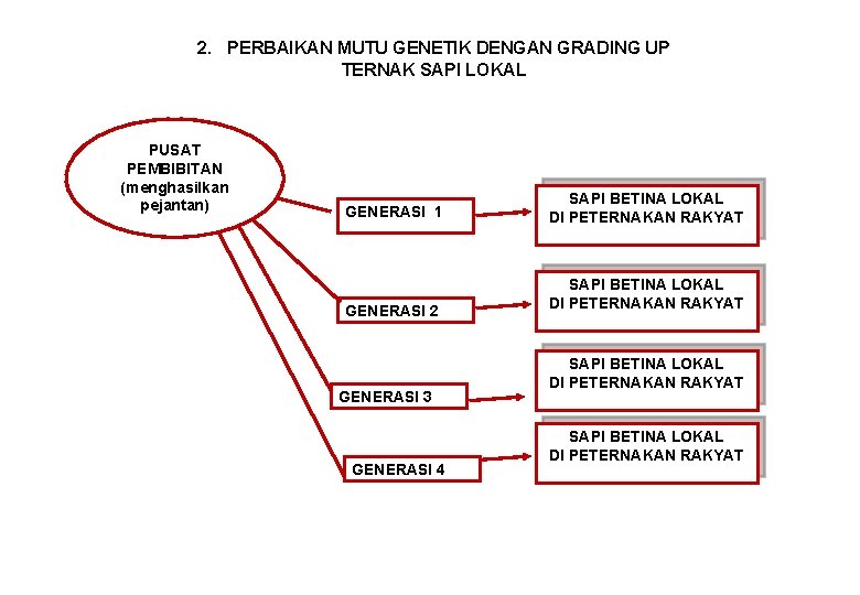 2. PERBAIKAN MUTU GENETIK DENGAN GRADING UP TERNAK SAPI LOKAL PUSAT PEMBIBITAN (menghasilkan pejantan)