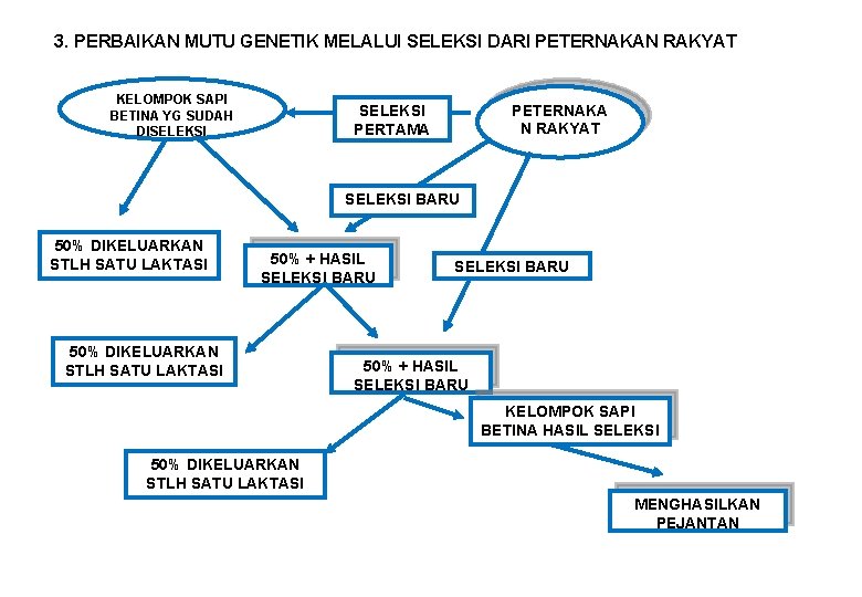 3. PERBAIKAN MUTU GENETIK MELALUI SELEKSI DARI PETERNAKAN RAKYAT KELOMPOK SAPI BETINA YG SUDAH