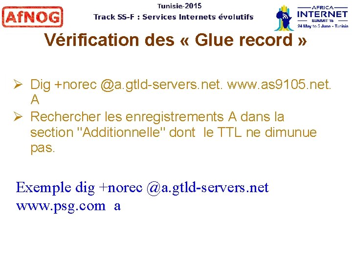 Vérification des « Glue record » Dig +norec @a. gtld-servers. net. www. as 9105.