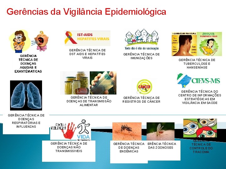 Gerências da Vigilância Epidemiológica GERÊNCIA TÉCNICA DE DST AIDS E HEPATITES VIRAIS GERÊNCIA TÉCNICA