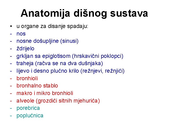 Anatomija dišnog sustava • - u organe za disanje spadaju: nosne došupljine (sinusi) ždrijelo