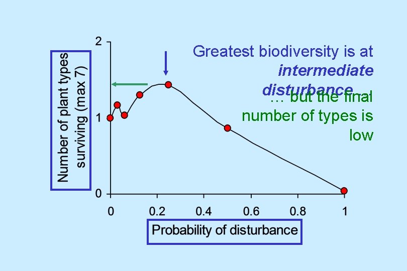 Greatest biodiversity is at intermediate disturbance … … but the final number of types