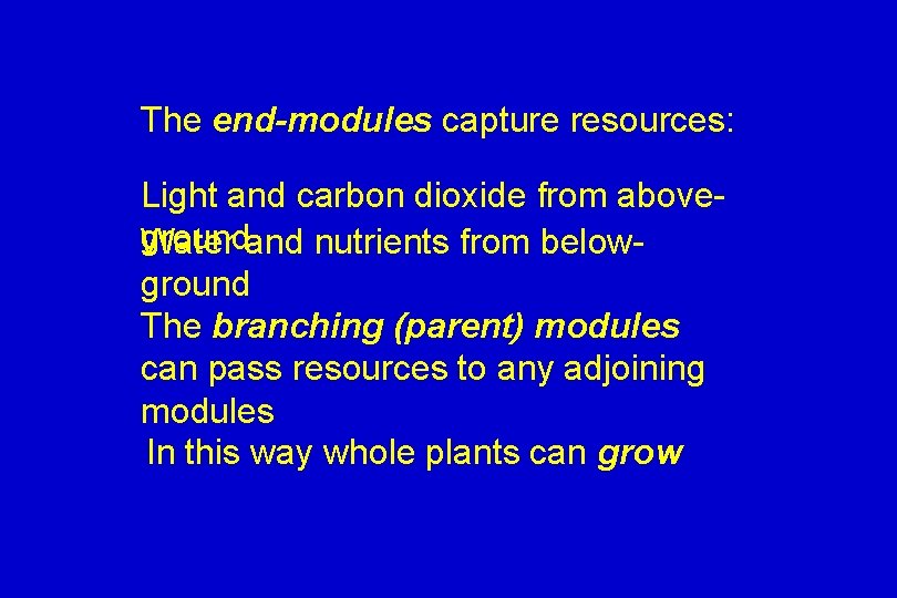 The end-modules capture resources: Light and carbon dioxide from aboveground Water and nutrients from