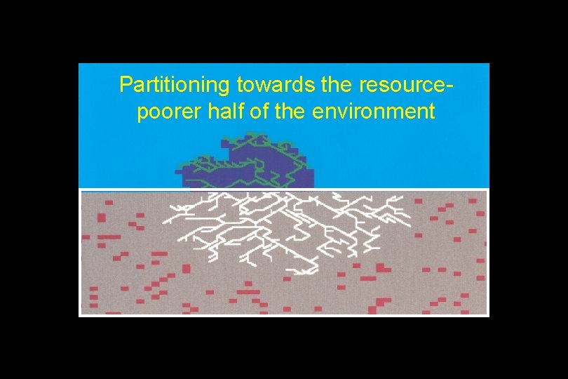 Partitioning towards the resourcepoorer half of the environment 