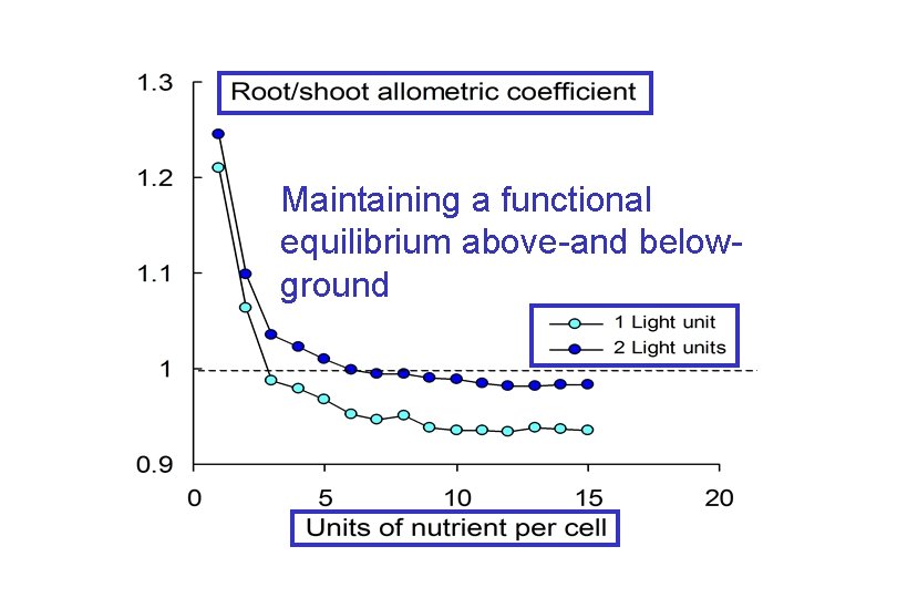 Maintaining a functional equilibrium above-and belowground 