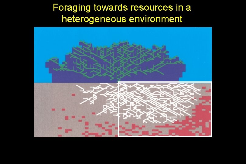 Foraging towards resources in a heterogeneous environment 