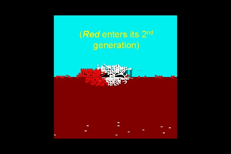 (Red enters its 2 nd generation) 