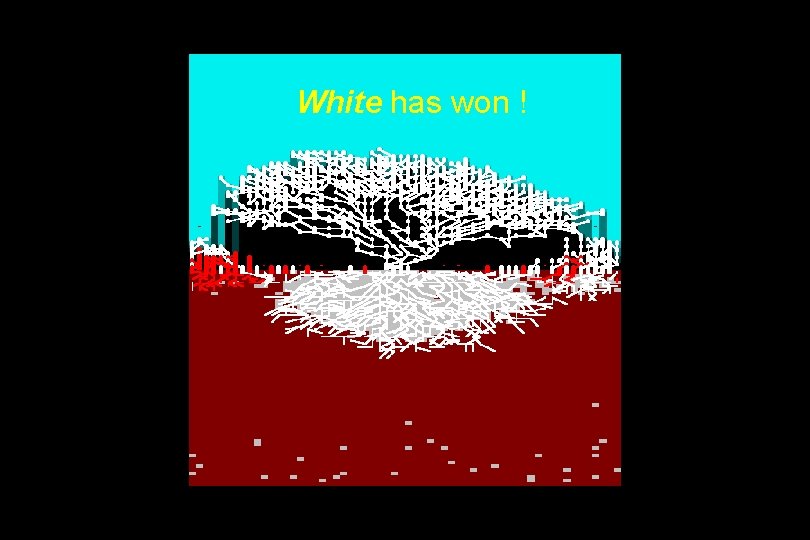 White has won ! 