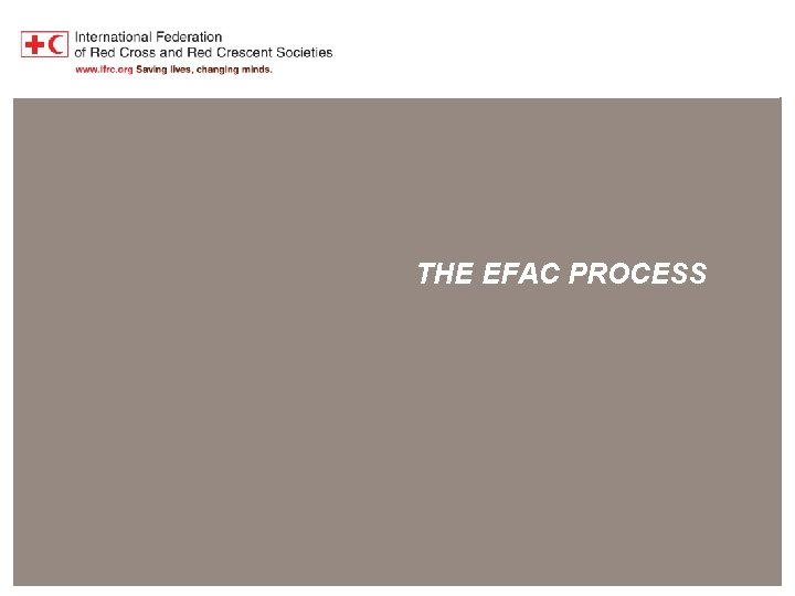 Harmonisation of First Aid Education THE EFAC PROCESS 