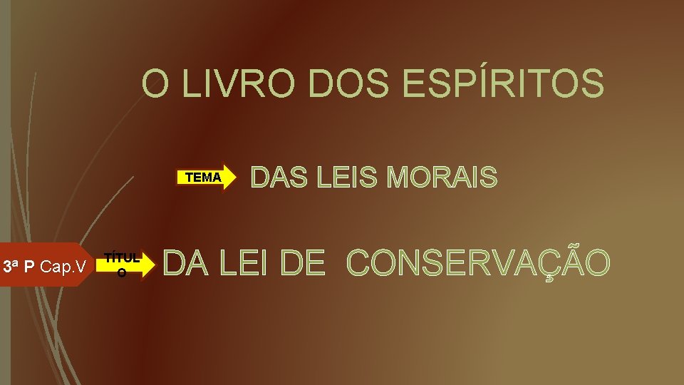 O LIVRO DOS ESPÍRITOS TEMA 3ª P Cap. V TÍTUL O DAS LEIS MORAIS
