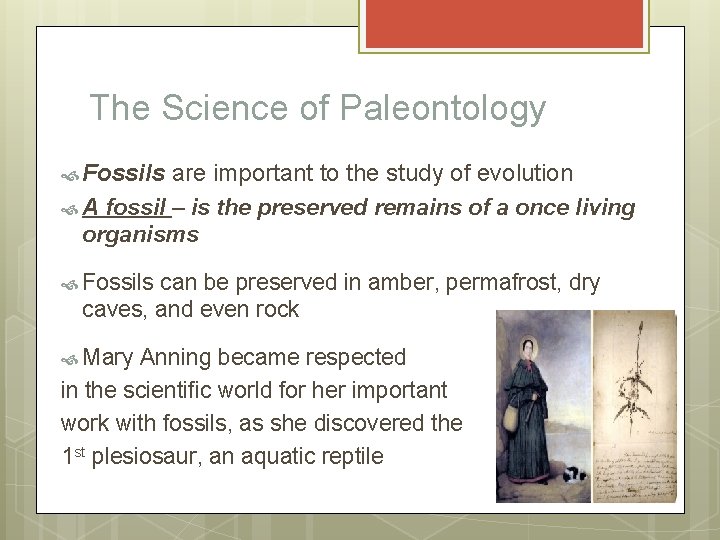The Science of Paleontology Fossils are important to the study of evolution A fossil