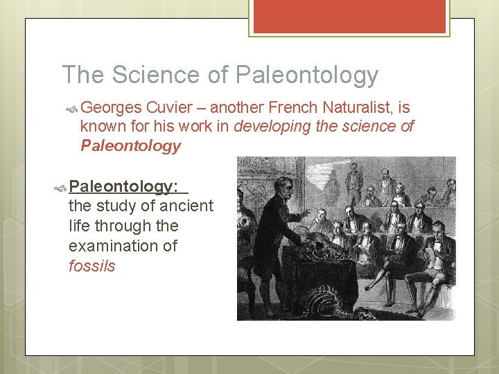 The Science of Paleontology Georges Cuvier – another French Naturalist, is known for his
