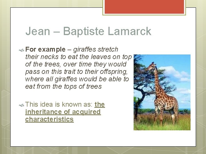 Jean – Baptiste Lamarck For example – giraffes stretch their necks to eat the